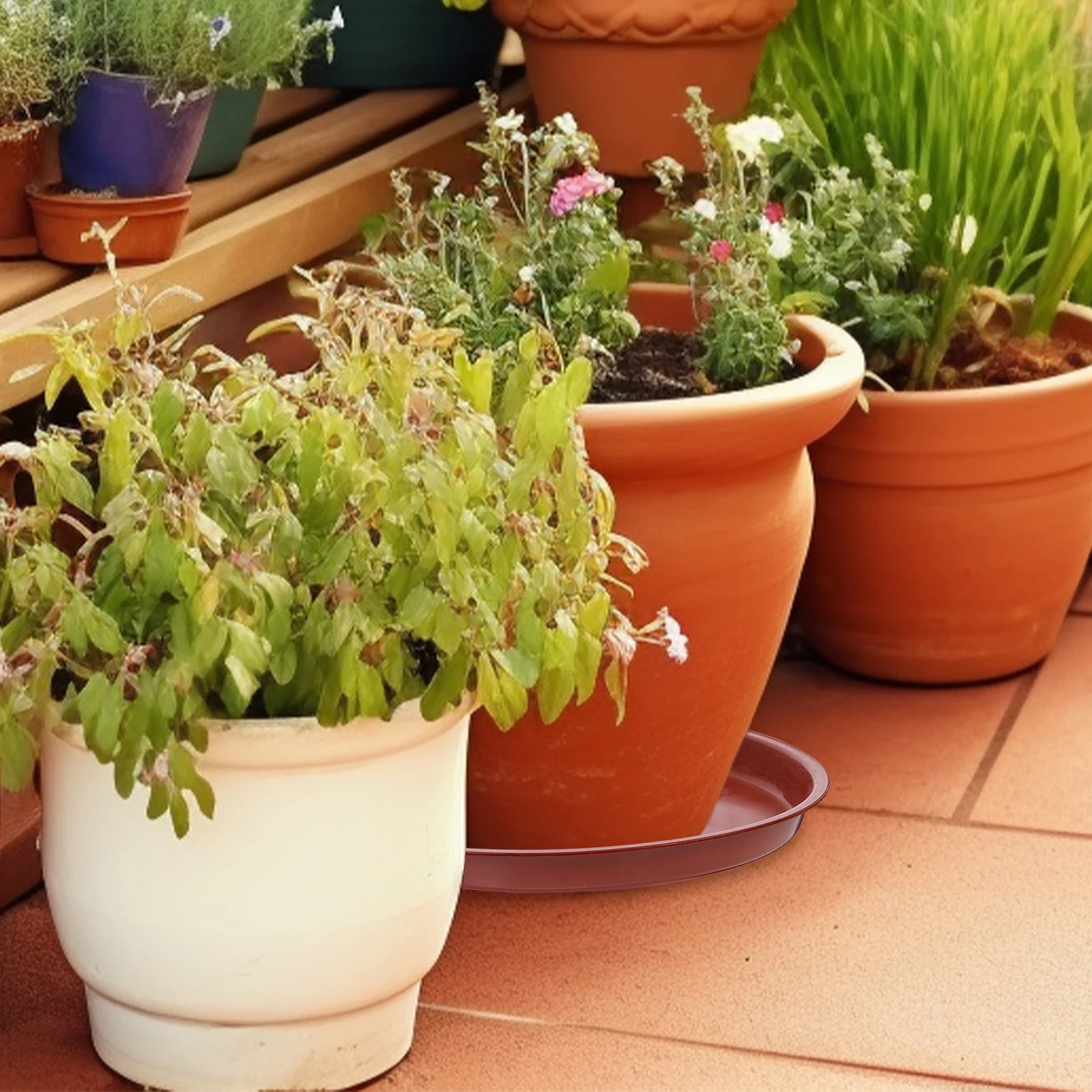 

20 PCS Plant Pots Indoor Plastic Planter Tray Drip Saucer Small Water Red Potted