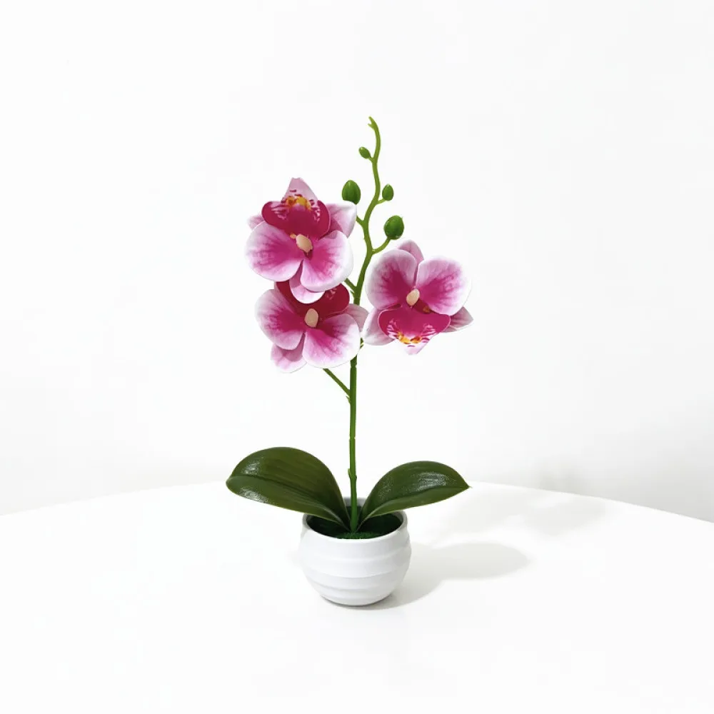 Simulation Phalaenopsis Potted Plant Artificial Bonsai Flower Home Office Desktop Decoration Realistic Decorative Ornament