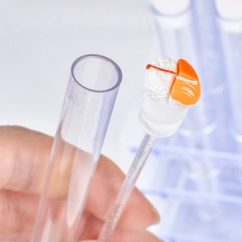 กล่องใส่แปรงปัดขนตา 10 ชิ้น ที่ใส่แปรงมาสคาร่า ที่เก็บแปรงปัดขนตา สำหรับเป็นของขวัญ