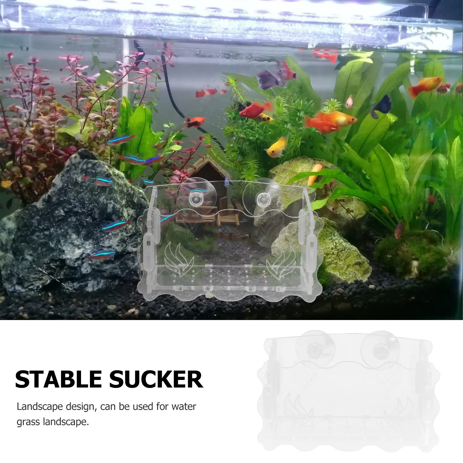 

Aquatic Planting Cup Plants Planter Pot Hydroponic Aquarium Pots Hanging Fish Tank Flower Holder