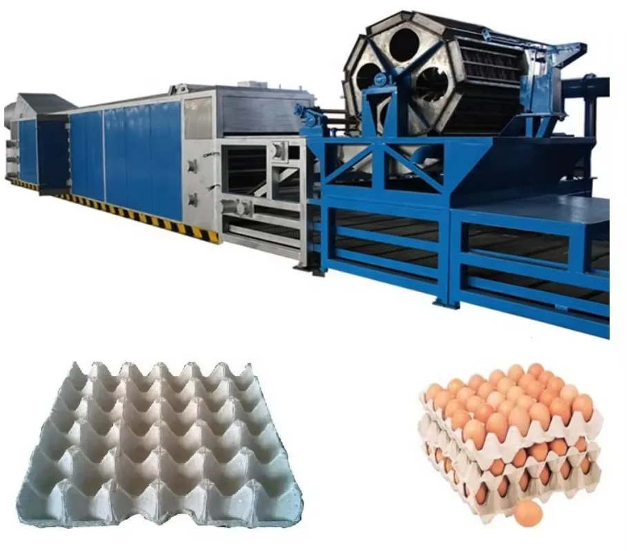 Egg Tray Machine For Small Factory Semi Automatic Paper Pulp Equipment For Local Business Startup