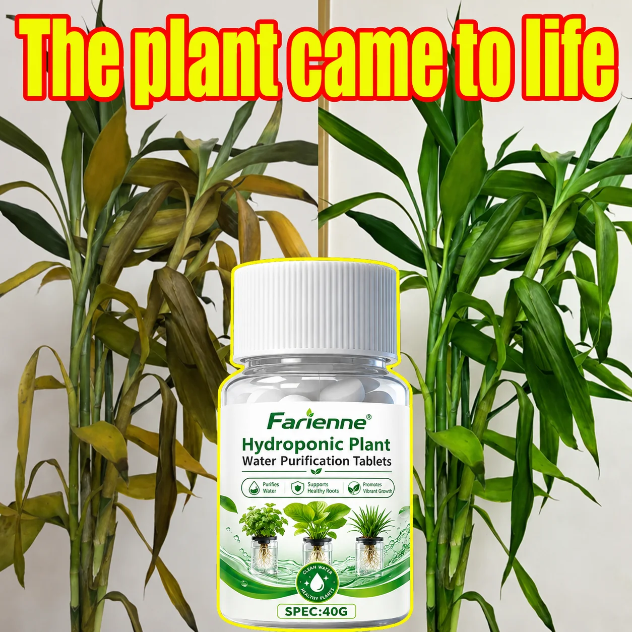 Plant Root Purification Tablets 40G Hydroponic Root Growth Rooting Stimulator For Water Plant Bamboo Orchid Indoor House Plants