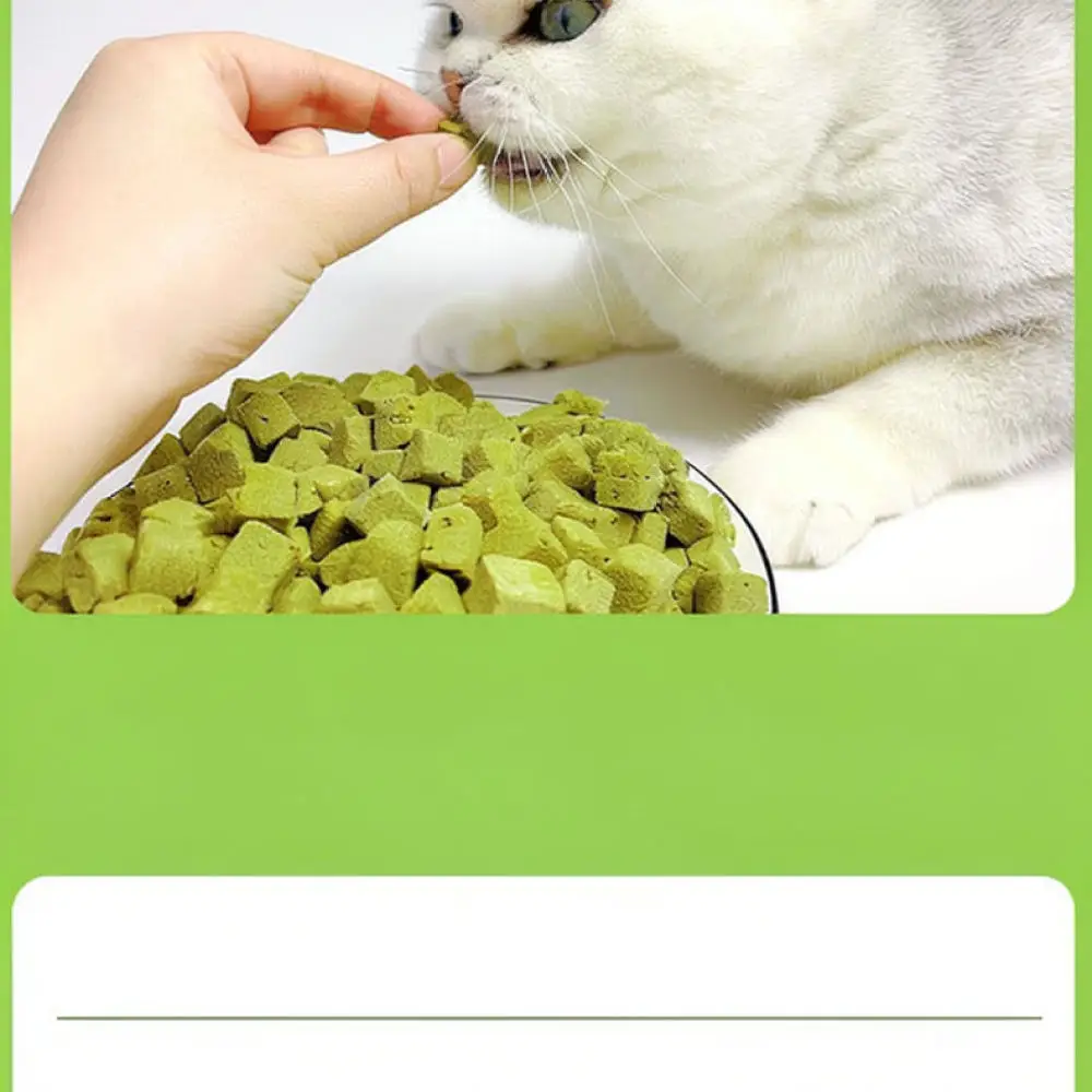 Freeze Dried Cat Grass Bites Hairball Remedy Natural Pet Snacks Crunchy Teeth Cleaning Treats Healthy Digestive Food