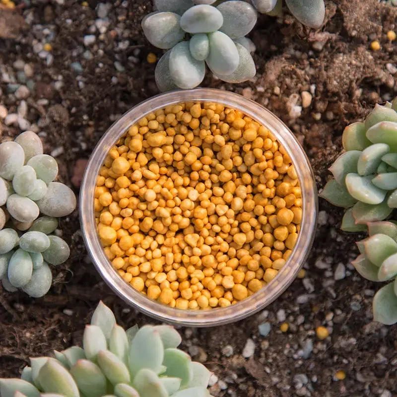 250g Plant Fertilizer, Slow Release Bonsai Plant Potting Succulent Compound Fertilizer General Vegetable Fertilizer