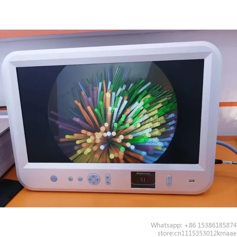 All-in-One Veterinary Endoscope System with 22 Inch Built-in Screen for Rigid Endoscopes