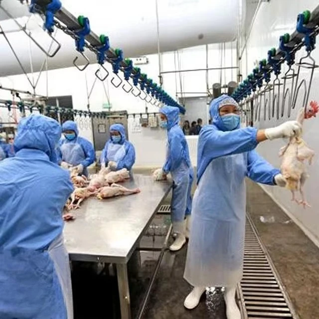 Chicken Poultry Slaughter and Process Line Slaughterhouse Equipment