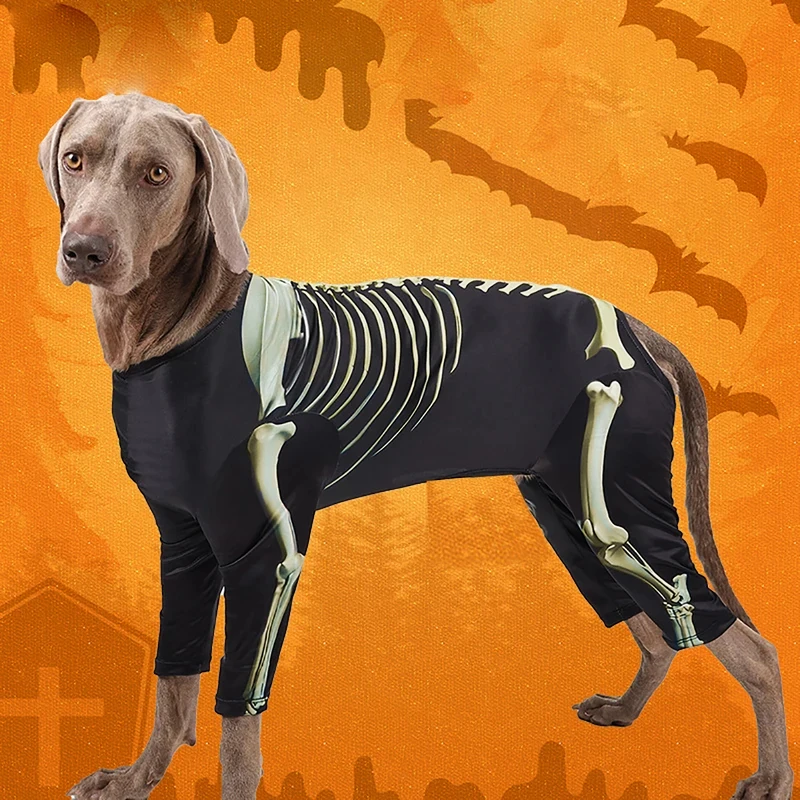 Costume d'Halloween pour chien, tenue de transformation squelette pour chien, confortable et cool, vêtements pour grands chiens, accessoires pour animaux de compagnie