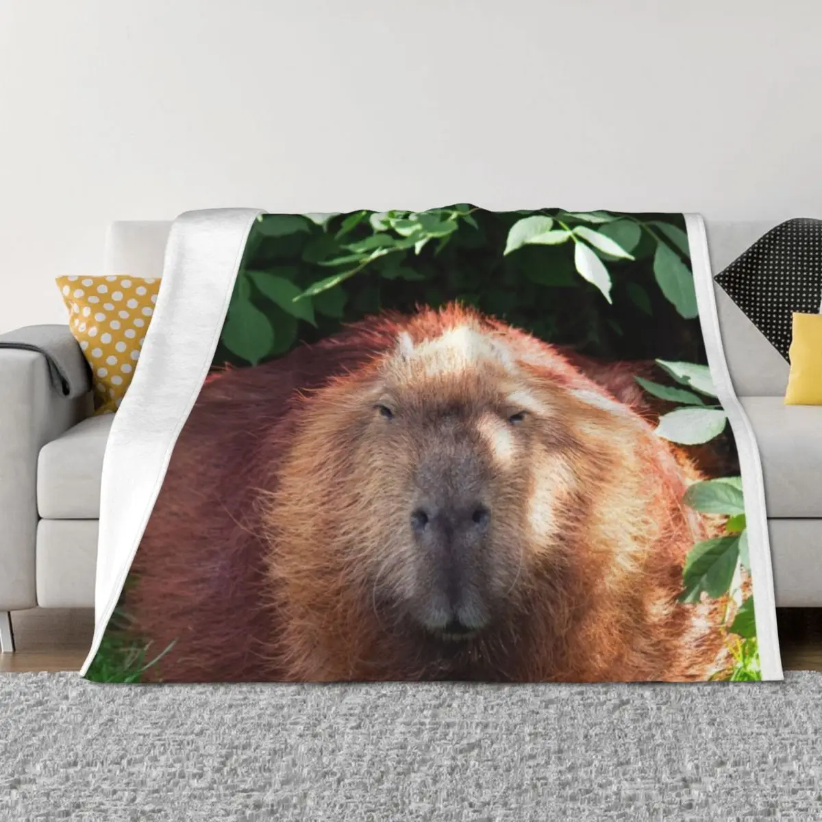 

Capybara Throw Blanket Single Furry Designers Tourist Blankets