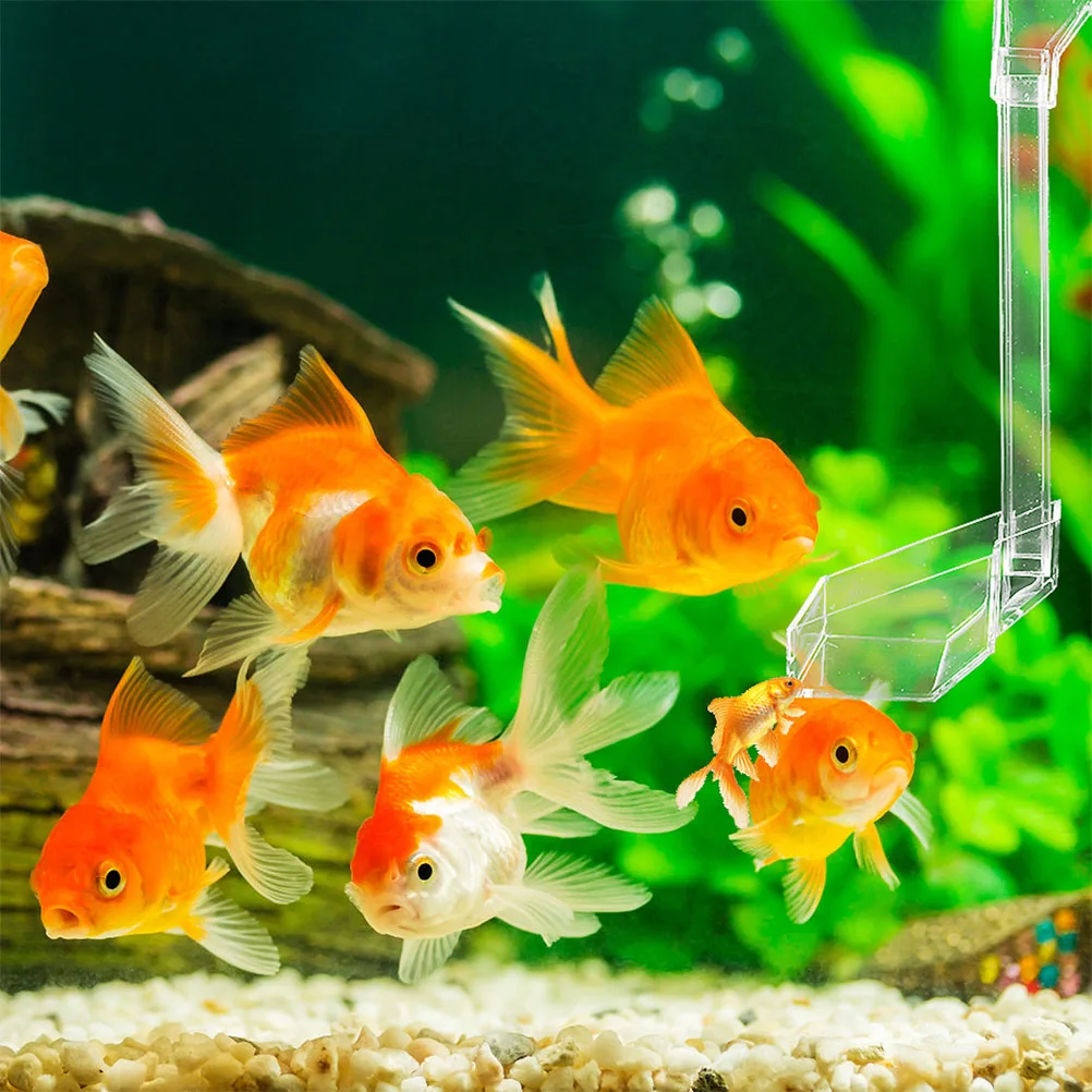 

Acrylic Fish Feeder 28cm Shrimp Feeding Tube Tank Supplies Container Bowl Hanging Design Easy Clean Professional Practical Pet