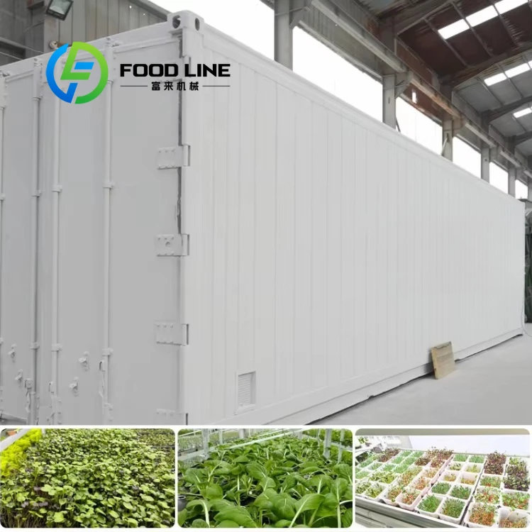 Large Green Vertical Hydroponic Container Farming System Stainless Steel Automatic Work Intelligent Controller 20FT Growing