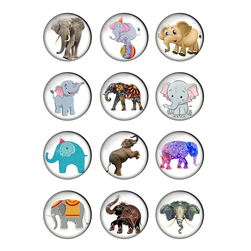 12pcs Elephant Round Photo Glass Cabochon 8mm 10mm 12mm 14mm 16mm 18mm 20mm 25mm Demo Flat Back DIY Jewelry Making Supplies T030