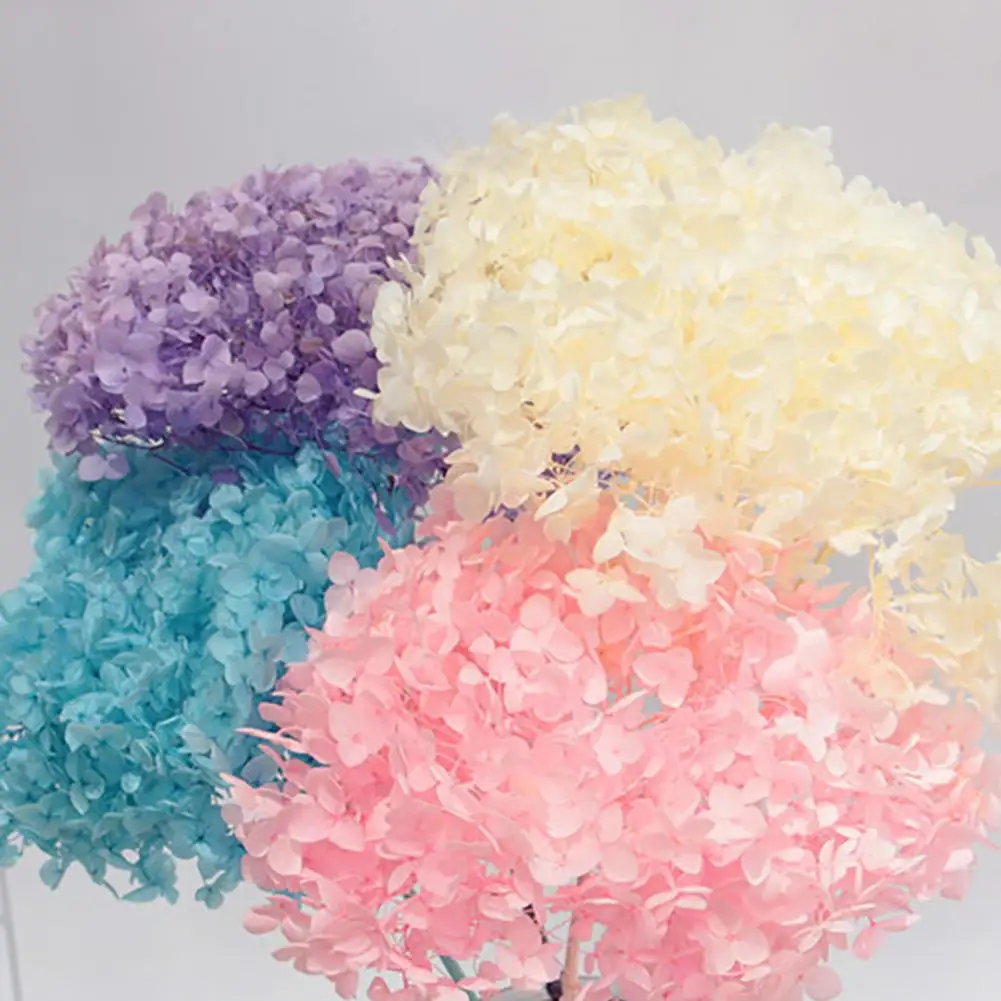 20g Dried Hydrangea Flowers Jewelry Making Pressed Flowers DIY Phone Case Epoxy Resin Filling Pendant Natural Hydrangea Flowers