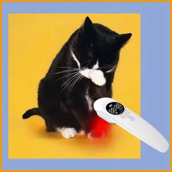 Veterinary Cold Laser Device 3W 808nm & 650nm Effective Pain Management & Anti-Inflammation Treatment for Dogs & Horses