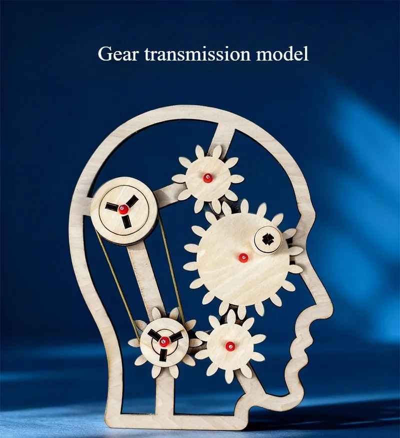 Gear Transmission Principle Model – Science Experiment and DIY Craft Materials for Primary and Secondary School Students