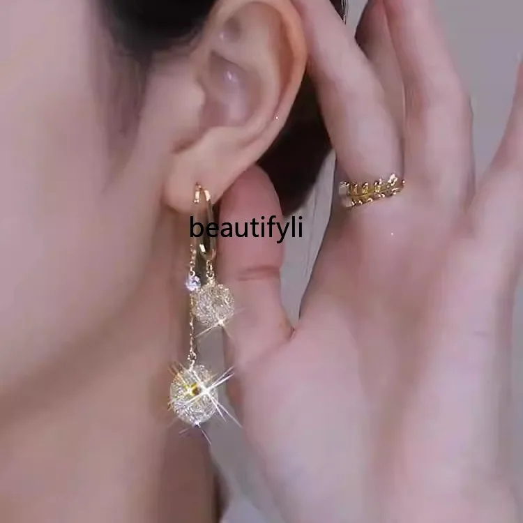 Light luxury high-end crystal earrings for women, new versatile sterling silver earrings, niche design fringed earrings.