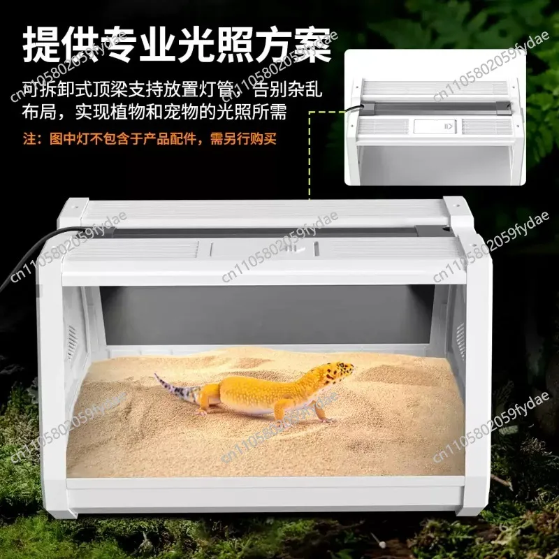 Plant Landscaping Tank Land Water Feature Microlandscape Transparent Moss