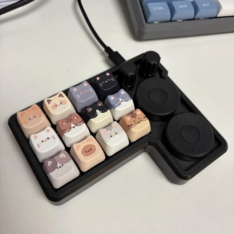 Hot Sales YYR4V2 2IN Custom Keyboard Illustration/Editing/Editing/Drawing RGB Portable Keypad Dual Knob for Windows MacOS
