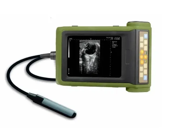 Full Digital B Mode System Vet Ultrasonic Scan Diagnostic Instrument RKU10 Animal Veterinary Ultrasound Machine