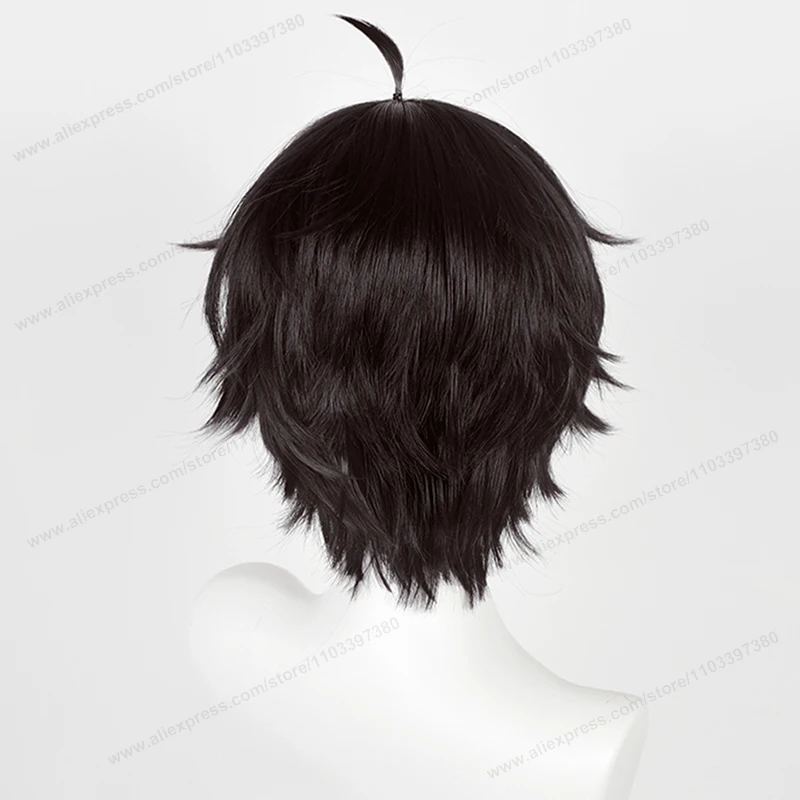 Парик для косплея HSR Dan Heng, термостойкие мужские волосы черного и коричневого цвета, 30 см, с шапочкой