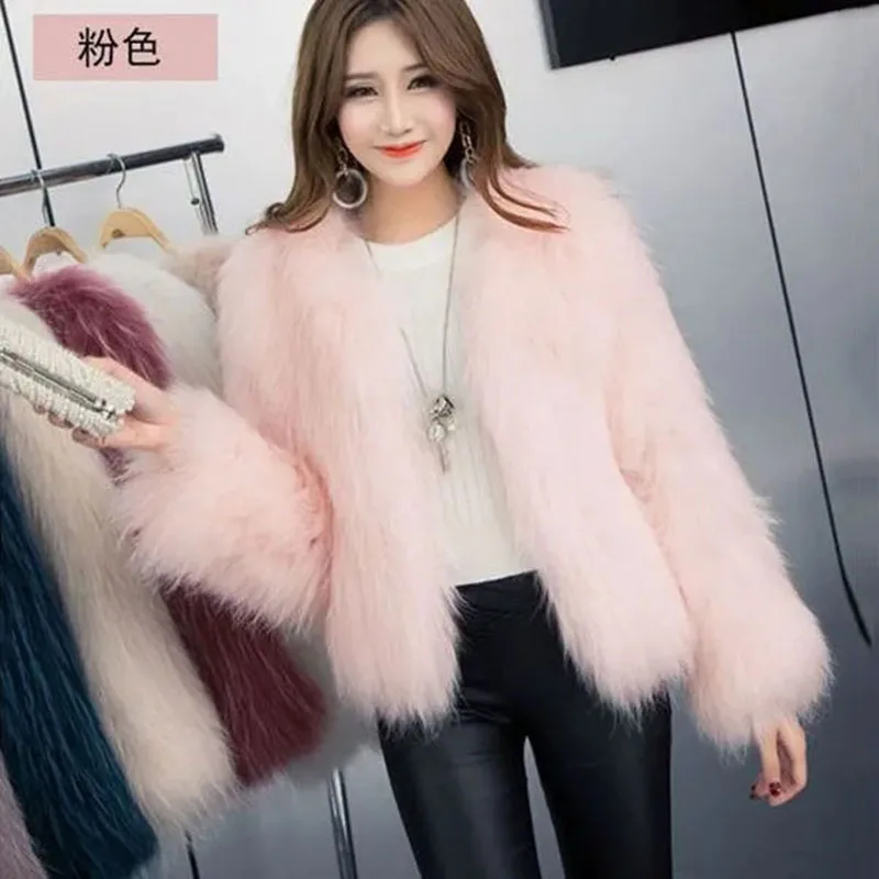 2023, The New Winter Imitation Raccoon Fur Tightly Woven Fur Coat Female Young Short Western Style Online Celebrity Mao Mao Coat