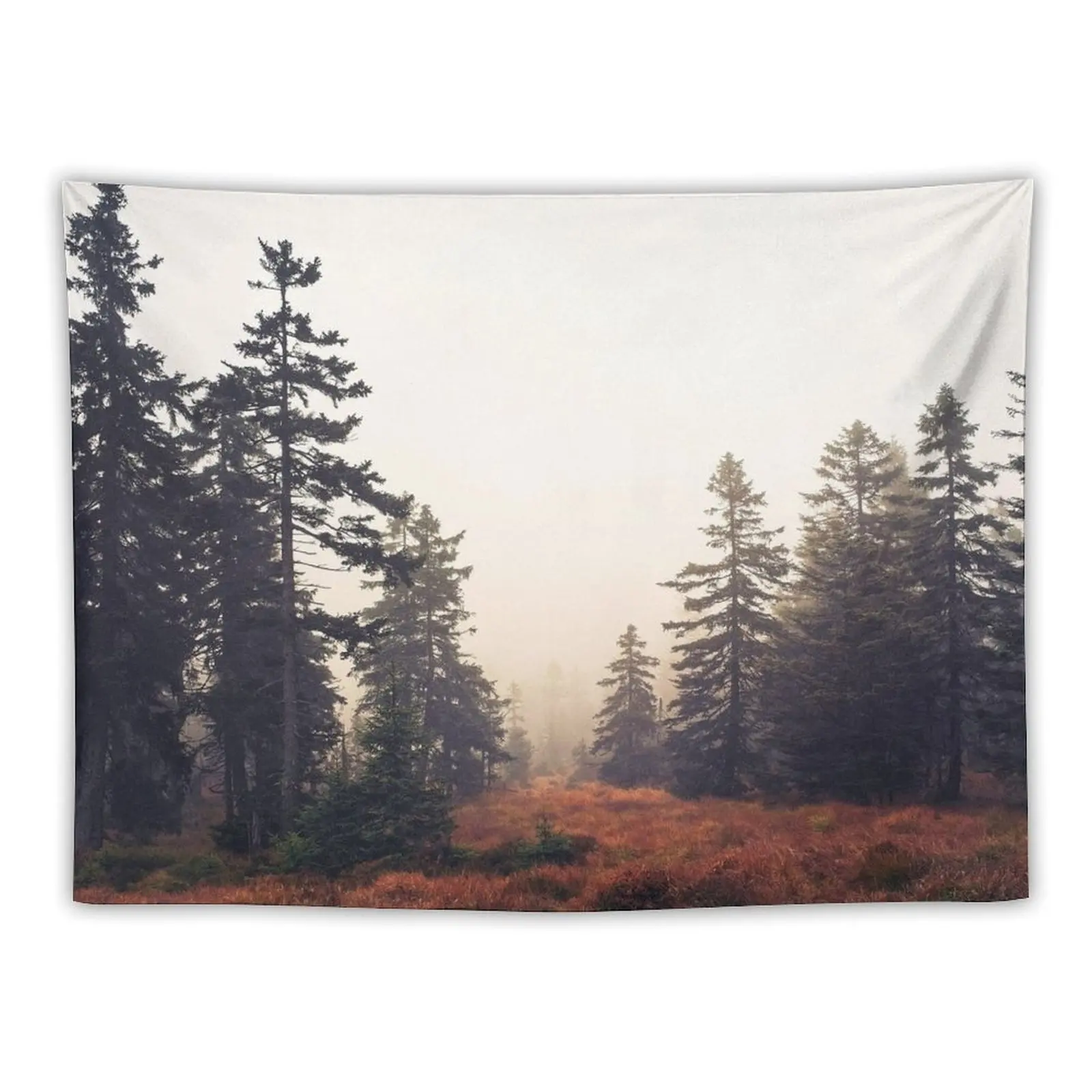 

You Are Here // Wild Romantic Misty Fairytale Wilderness Forest With Cascadia Trees Covered In Magic Foggy Sunlight Tapestry