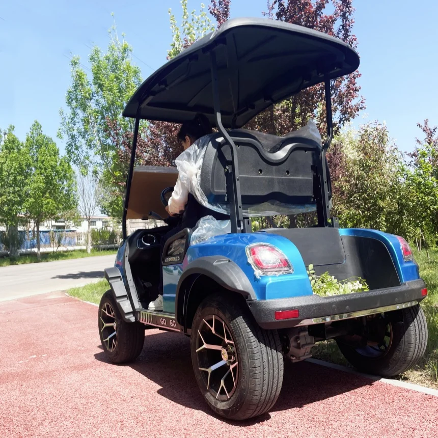 

2025 New Double Wishbone Independent Suspension Golf Cart Street Legal Electric Golf Cart 2 Seater Lithium Battery Electric Bike