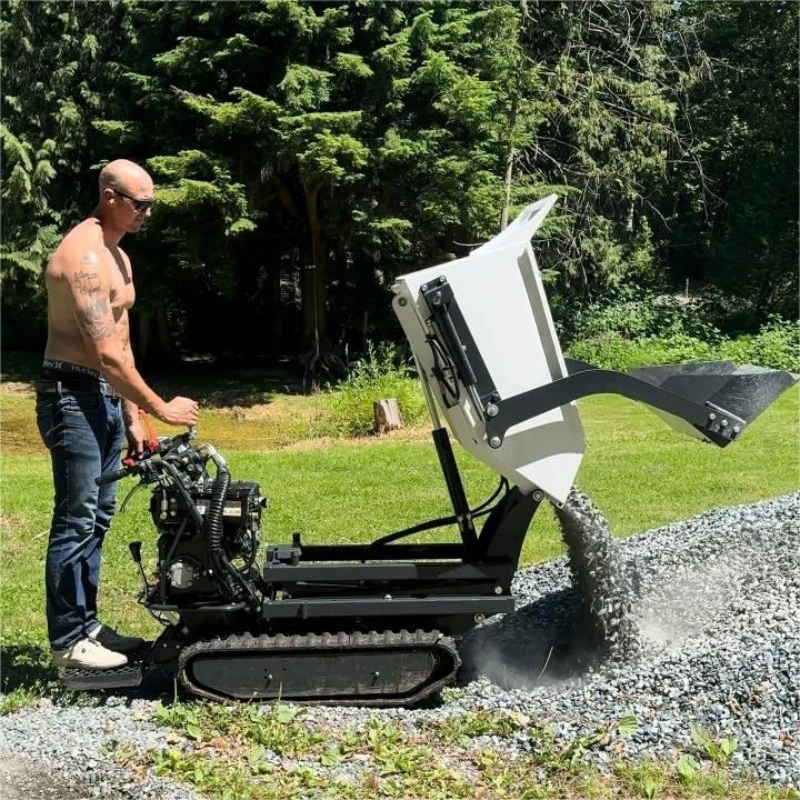 Mini Tracked Dumper Mini Dumper Tracks Loaders Hydraulic Tipping Crawler Dumper Carrier for Building Civil Engineering Tool