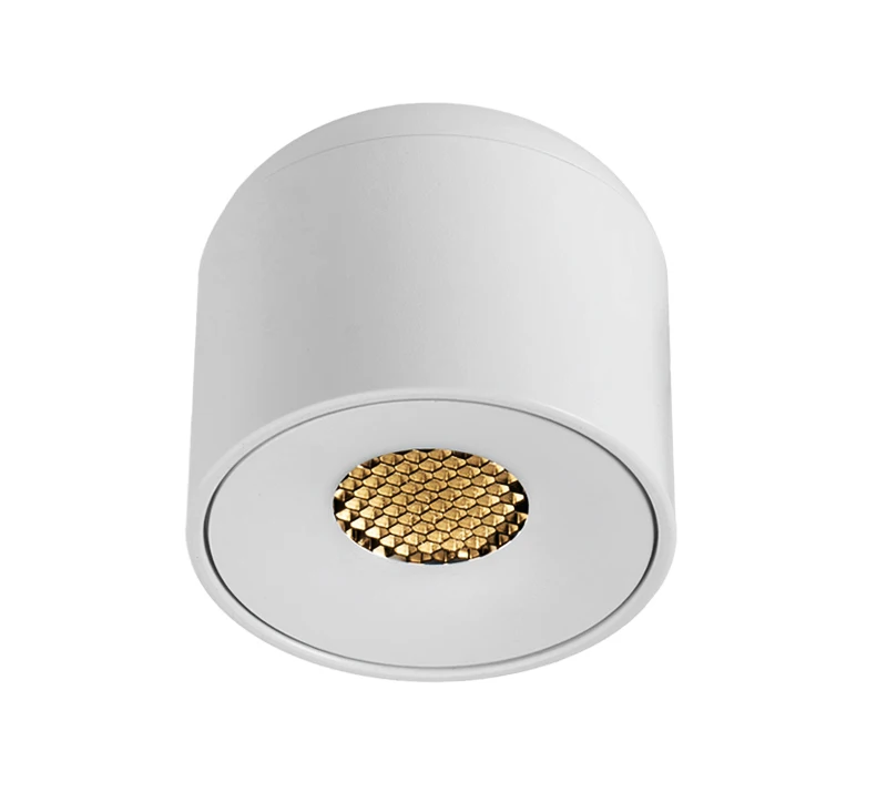 Aisilan Surface Mounted Downlight LED COB Chip Super Anti-glare Ceiling Light for Living Room Corridor Foyer