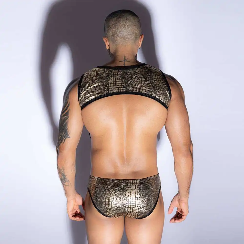 Conjunto de lencería Sexy de Minkini para hombre, Bodi transparente, ropa interior Gay, disfraces de Club nocturno, venta al por mayor