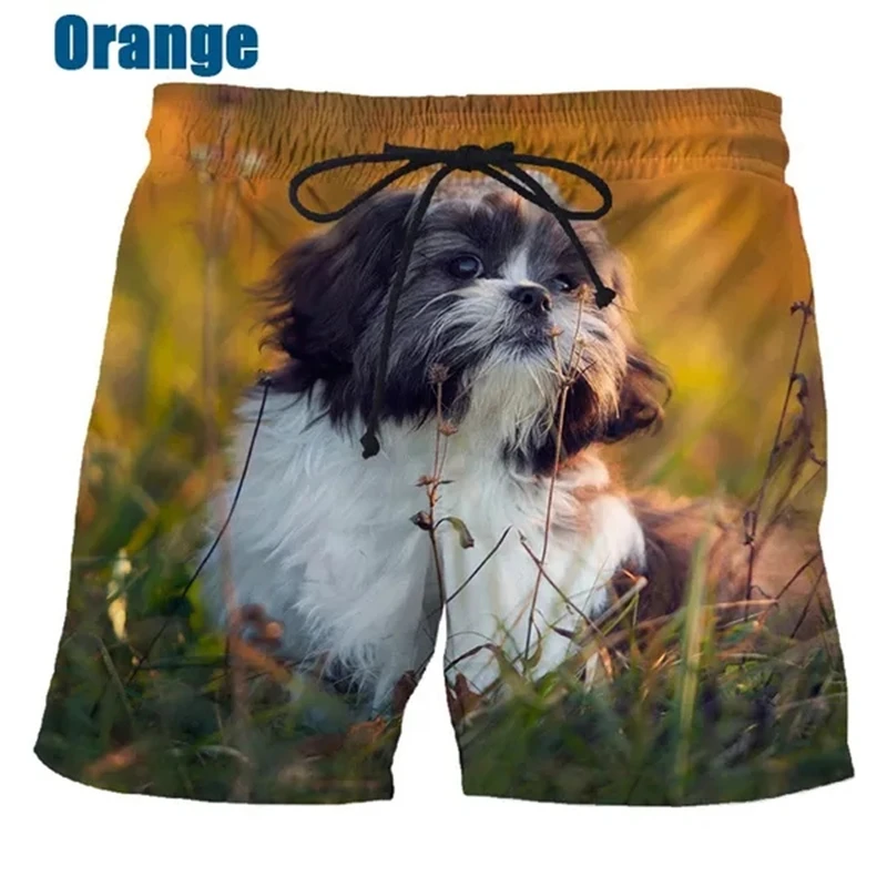 New Fashion Unisex Funny 3D Printed Shih Tzu Dog Beach Short Pants Cute Men Women Kids Clothing Causal Swimming Trunks Shorts