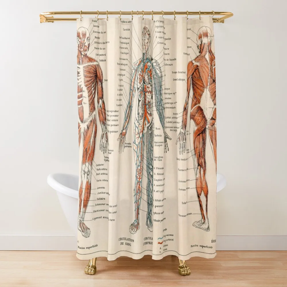 

Adolphe Millot Human Anatomy - Men Shower Curtain Bathroom Shower Set For Shower Bathtub Bathroom Accessory Curtain