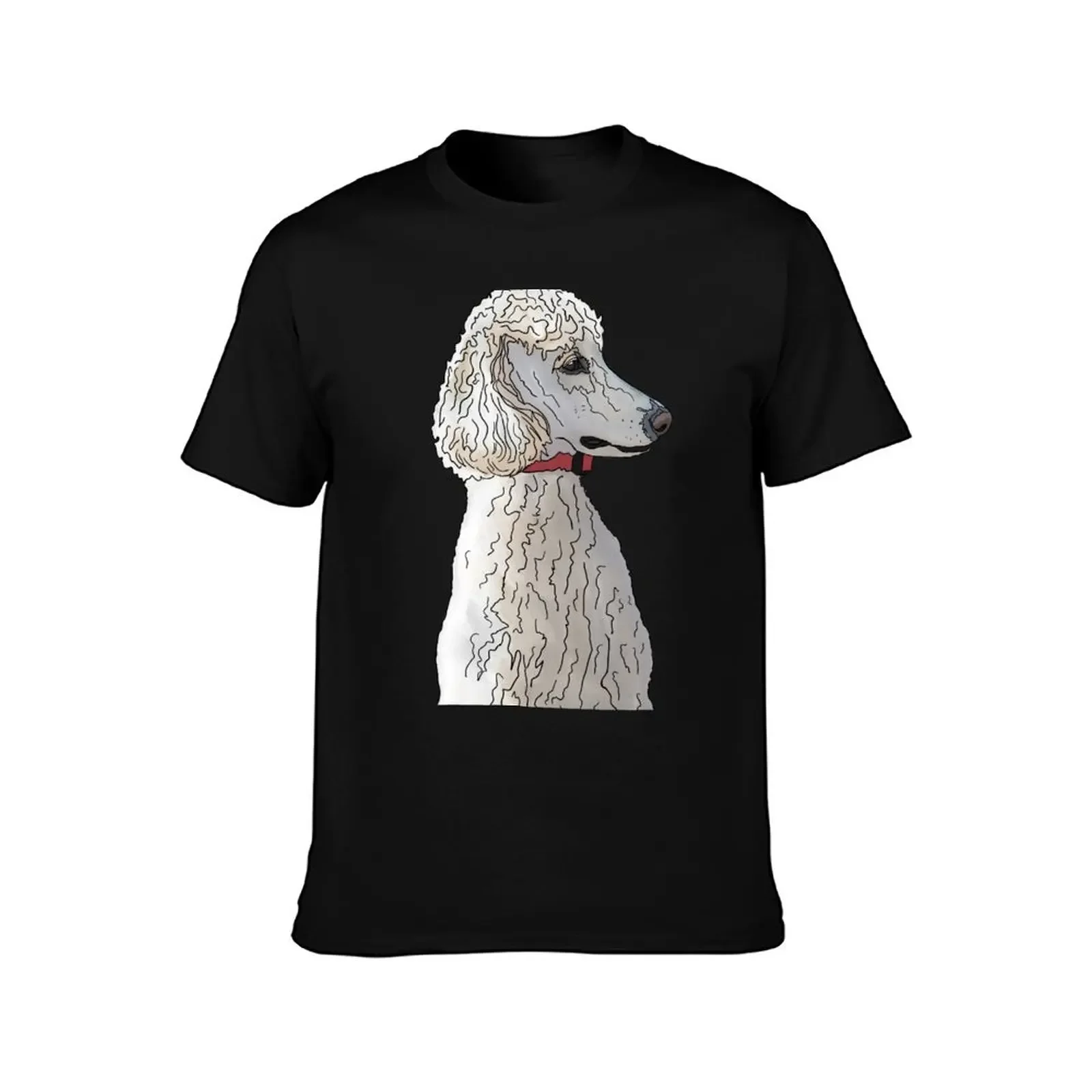 Kyah the Standard Poodle T-Shirt for a boy blacks plain shirts men