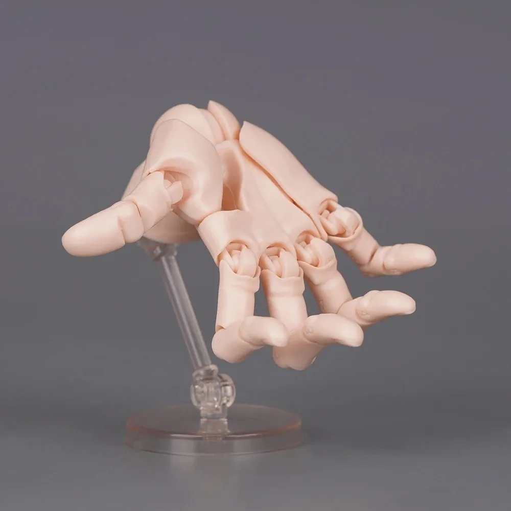 1:2 Scale Human Hand Model Mini Size Movable Joints Articulated Action Figure Twisted Egg Design With Posable Fingers Palm Model