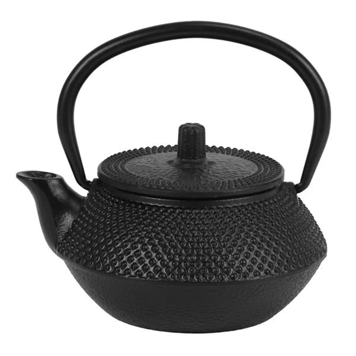 Iron Tea Pot with Stainless Steel Infuser Cast Japanese Iron Teapot Oolong Tea Puer Tea Tea Kettle 300ML HY