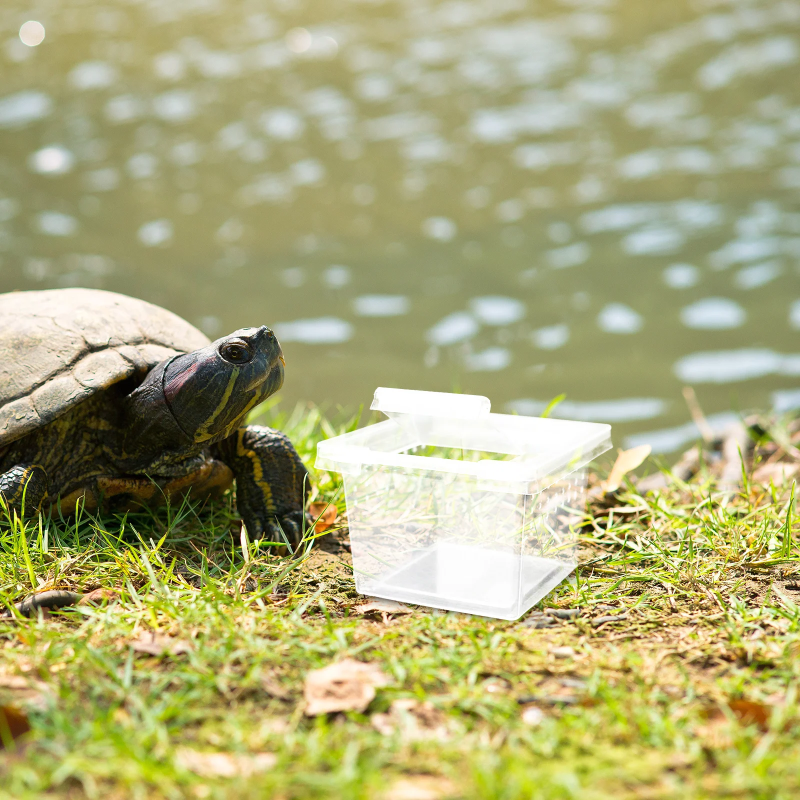 

30Pcs Plastic Reptile Terrarium Habitat Secure Lid Transparent Viewing Window for Gecko Tank Spider Cage Turtle Breeding Box