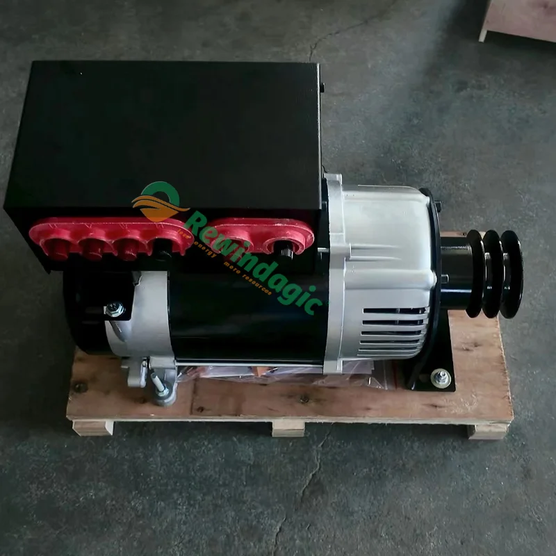 Free Energy Permanent Magnet Generator 20KW 30KW 50KW 220V 380V Output Generator Set Magnetic Electric Generator Single Phase AC