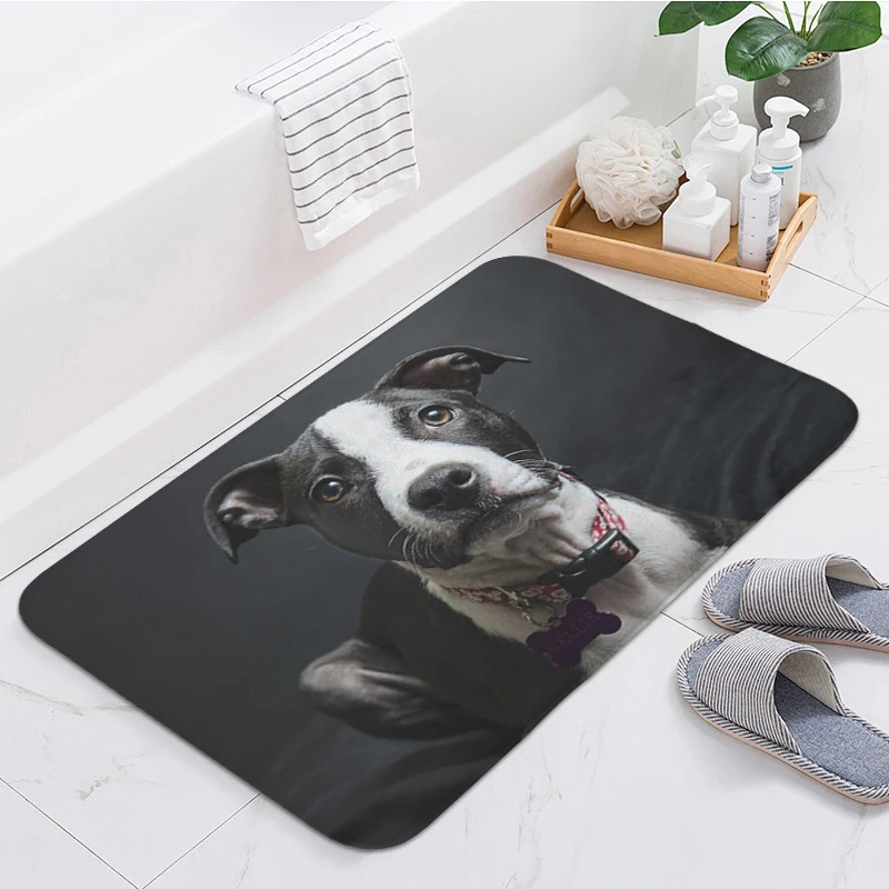 Bull Terrier Dog Bathroom Foot Mat Living Room Floor Carpet for Kitchen Slip-resistant Entrance Door Doormat Balcony Bedroom Rug