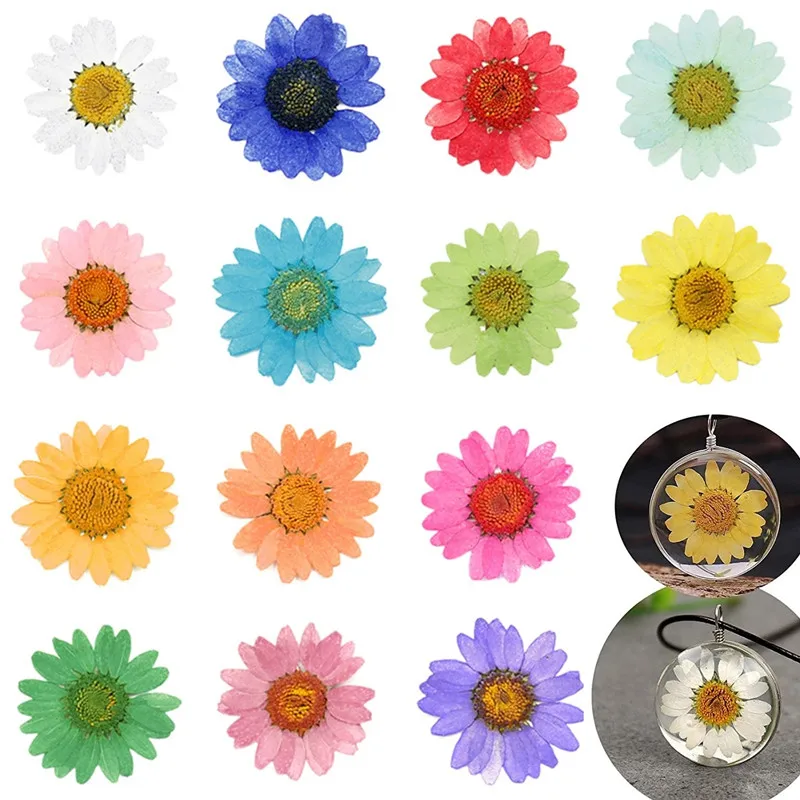 120 Pcs 2-3cm Pressed Press Dried Daisy Dry Flower For Epoxy Resin Pendant Necklace Jewelry Making Craft DIY Accessories