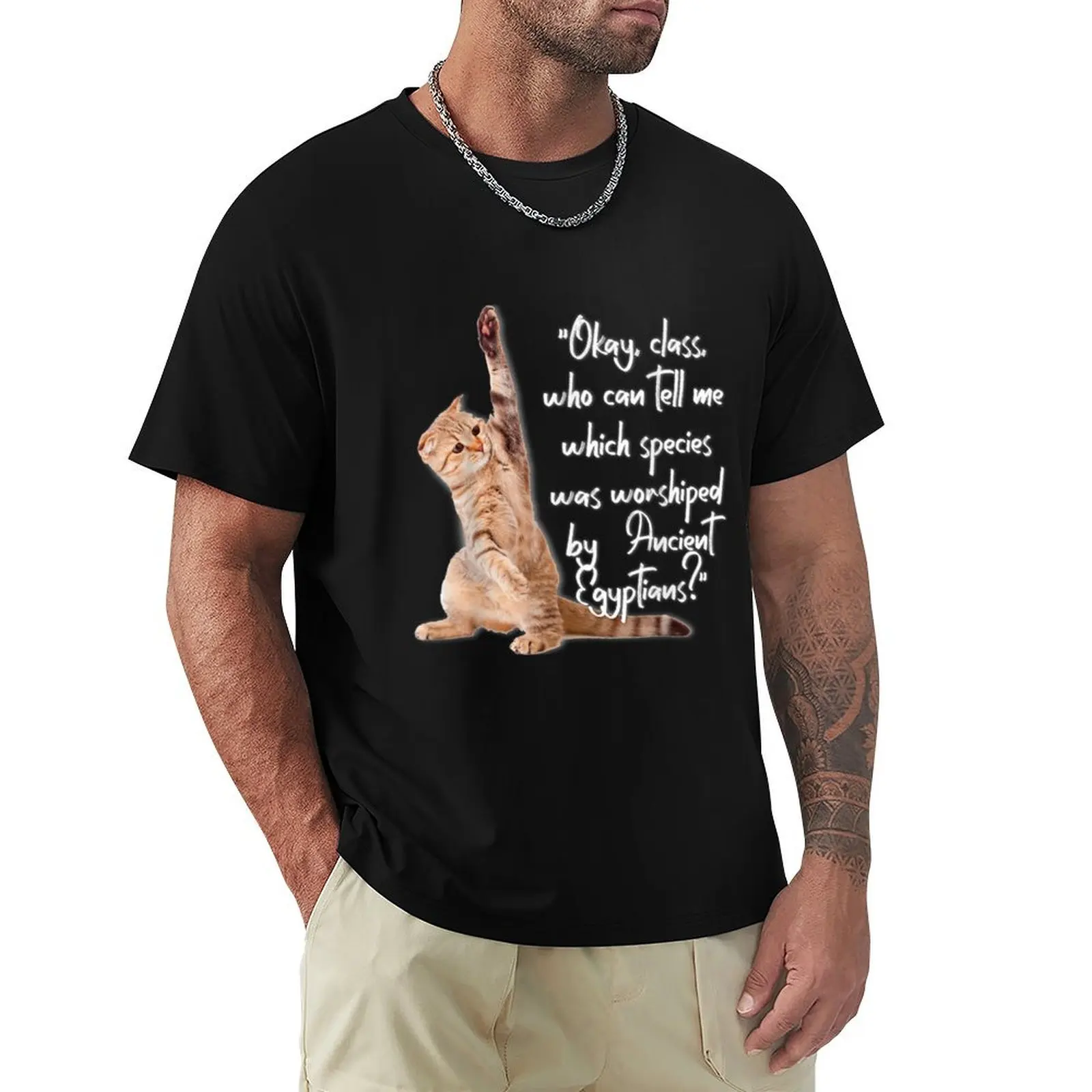 

Cats Were Worshiped by Egyptians T-Shirt Funny t-shirt gifts for boyfriend mens graphic t-shirts