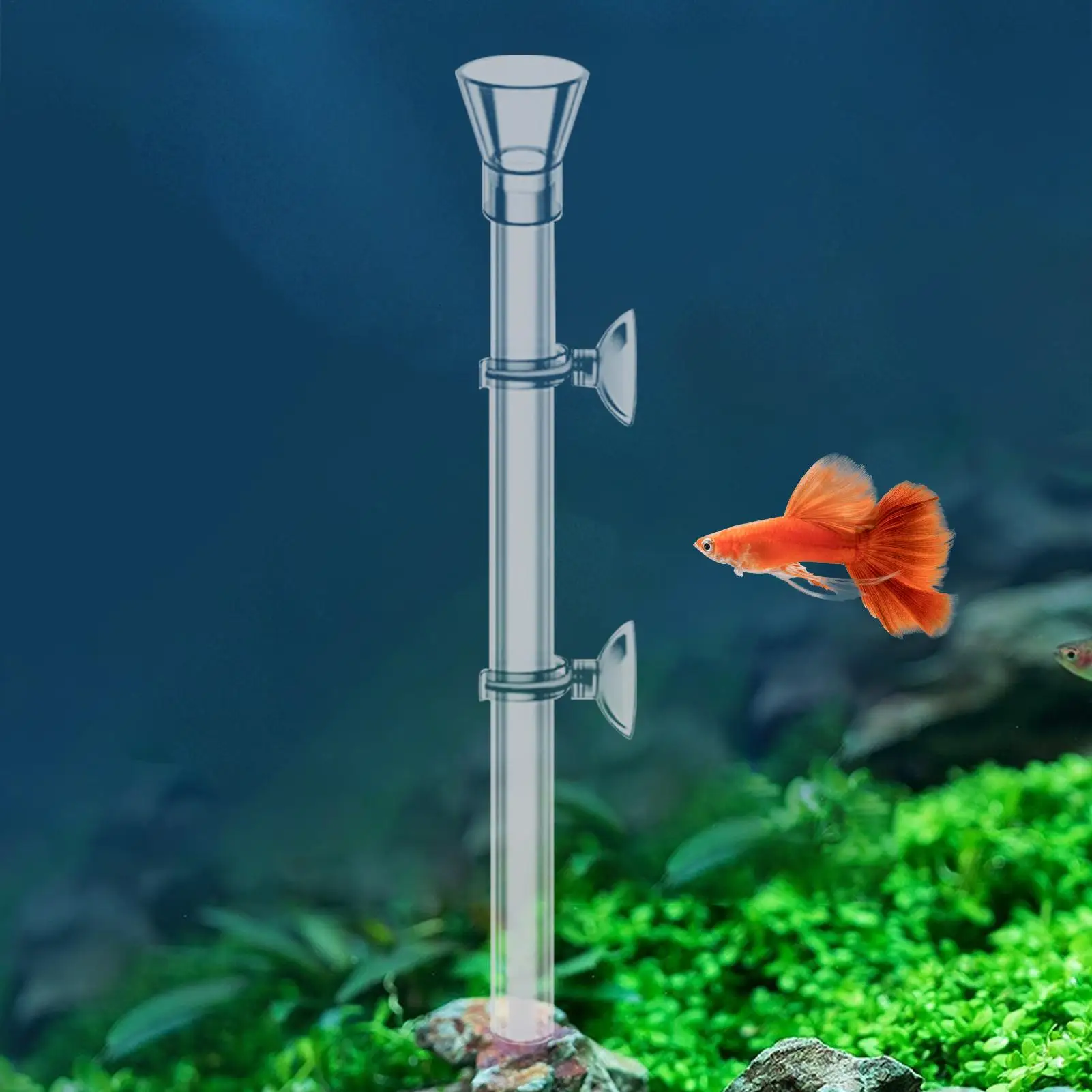 

Thickened Aquarium Feeder Tube Dish Transparent Fish Tank Shrimp Snail Food Feeder Bowl Aquarium Fish Feeding Accessories