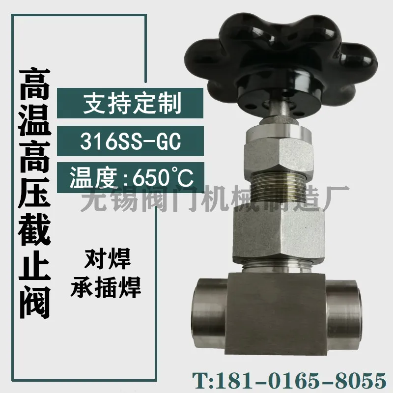 High temperature and high pressure globe valve 316SS-GC stainless steel butt welding/socket welding ball type water vapor DN6