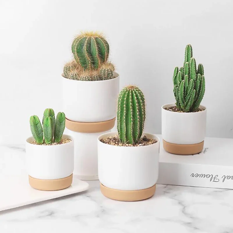 Self Watering Flowerpot Automatic Water Absorption Storage Round Double-layer Succulent Planter Pot Small Green Plant Flowerpot