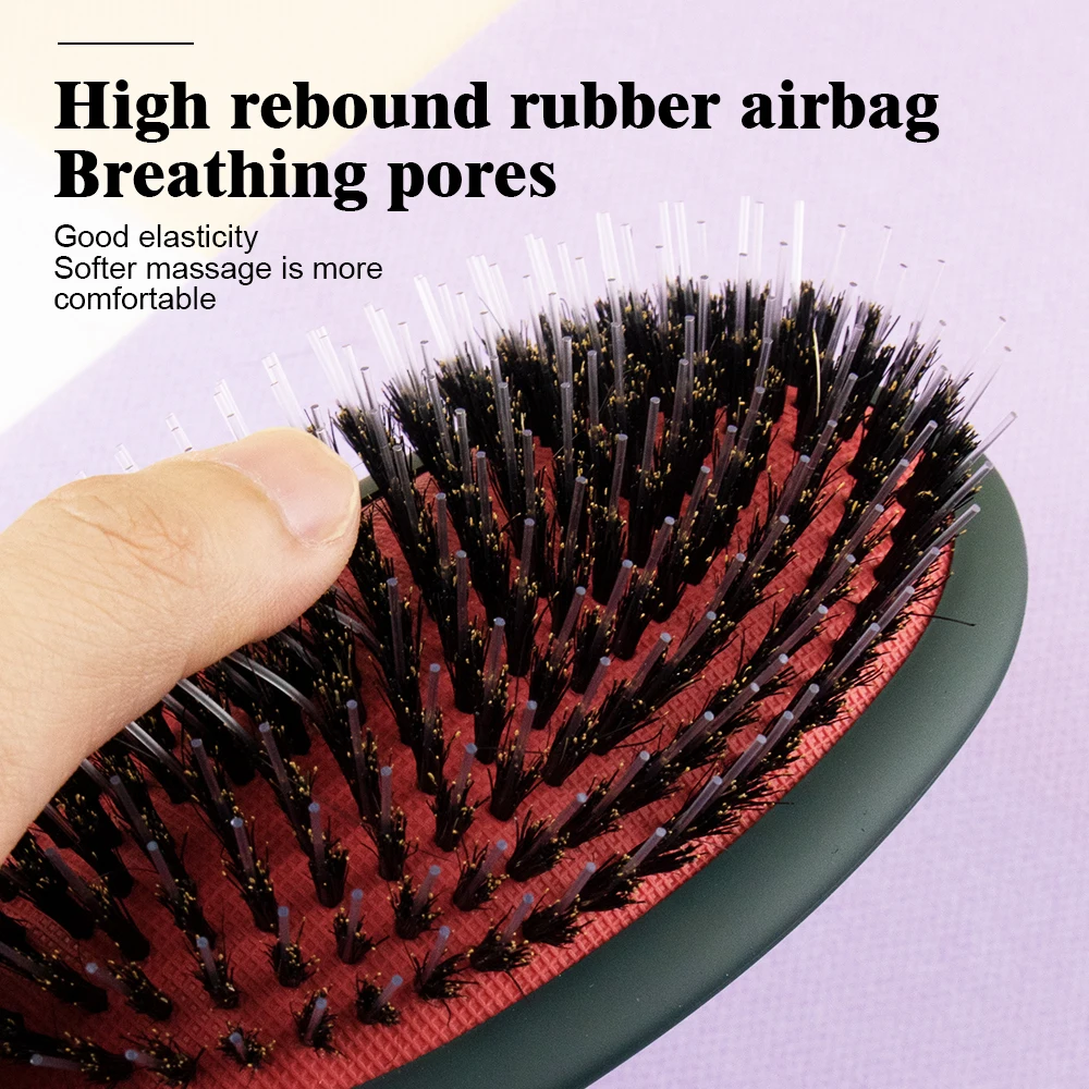 مشط شعر بوسادة مطاطية بشعيرات الخنزير ABS + نايلون + خنزير: متعدد الألوان، بسيط، جاف/رطب للاستخدام في الصالونات/المنزل