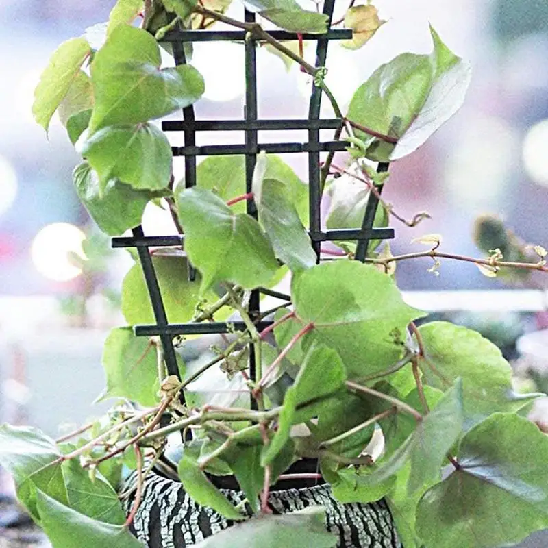 8PCS Small Garden Growing Plant Climbing Trellis Vegetables Flowers Support Plant Pot Frame Garden Decorative Plant Trellis