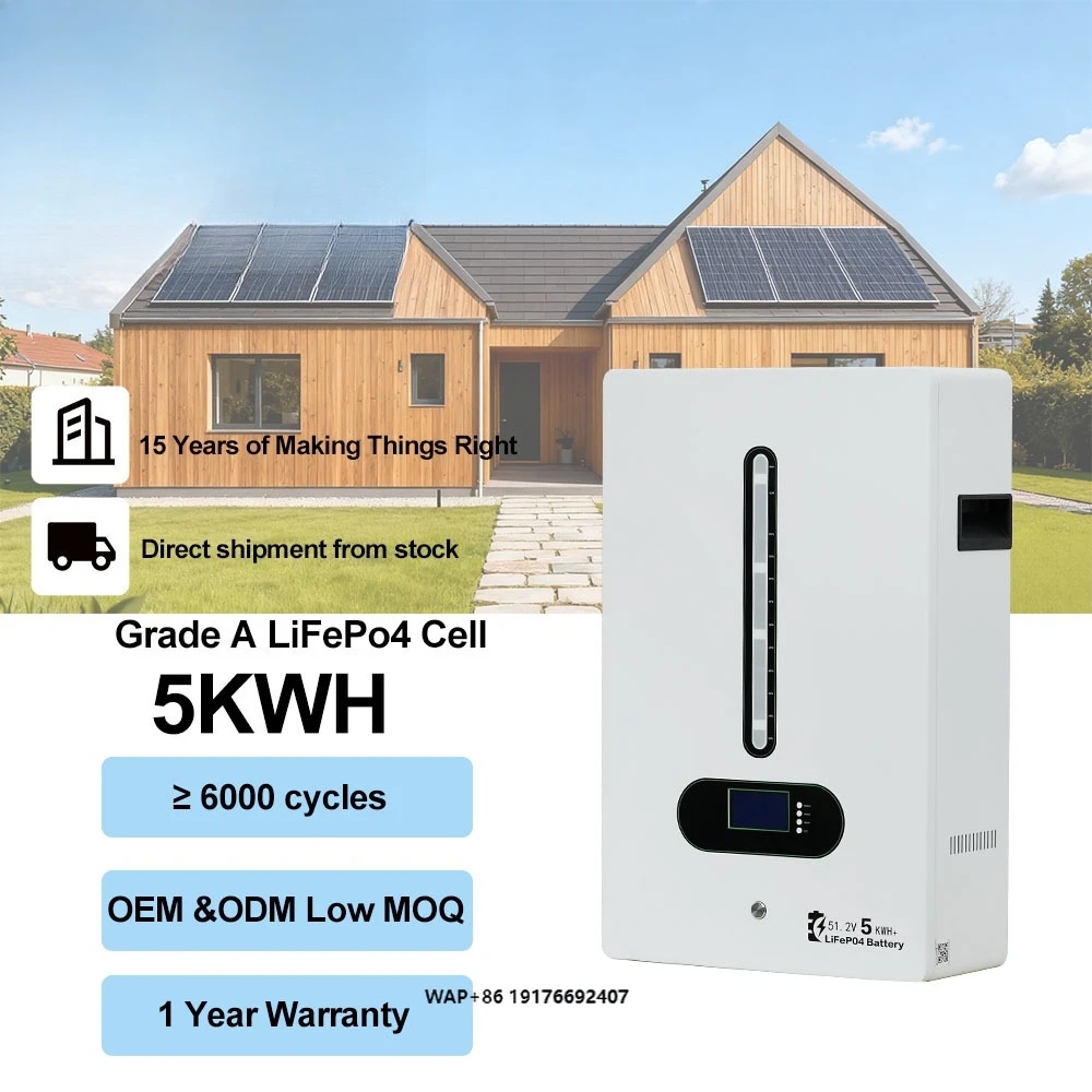 

Fast Delivery 5kwh LiFePO4 Solid State Batteries 51.2V 100Ah Solar Battery 6000 Cycles Lithium-ion Batteries