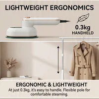 Handheld Clothing Plate Iron for Clothes Voor Mini Ironing Machine Portable Travel Steam Iron Home Appliance Garment Steamer 6