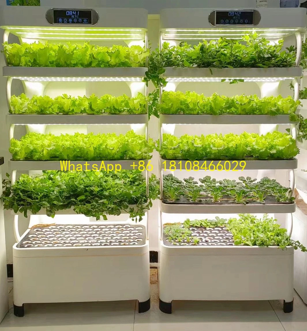 

Greenhouse Complete Hydroponic System Hot Selling Garden Planter Smart Led Grow Light Microgreens and Vertical