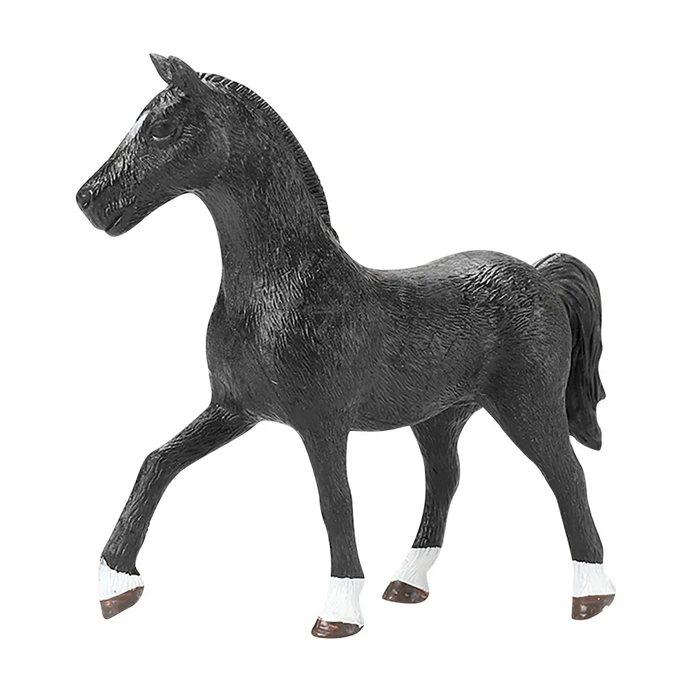 

Premium Lightweight Plastic Realistic Adornment for Kids Brain Development Home Decor Table Centerpiece Coffee Shop