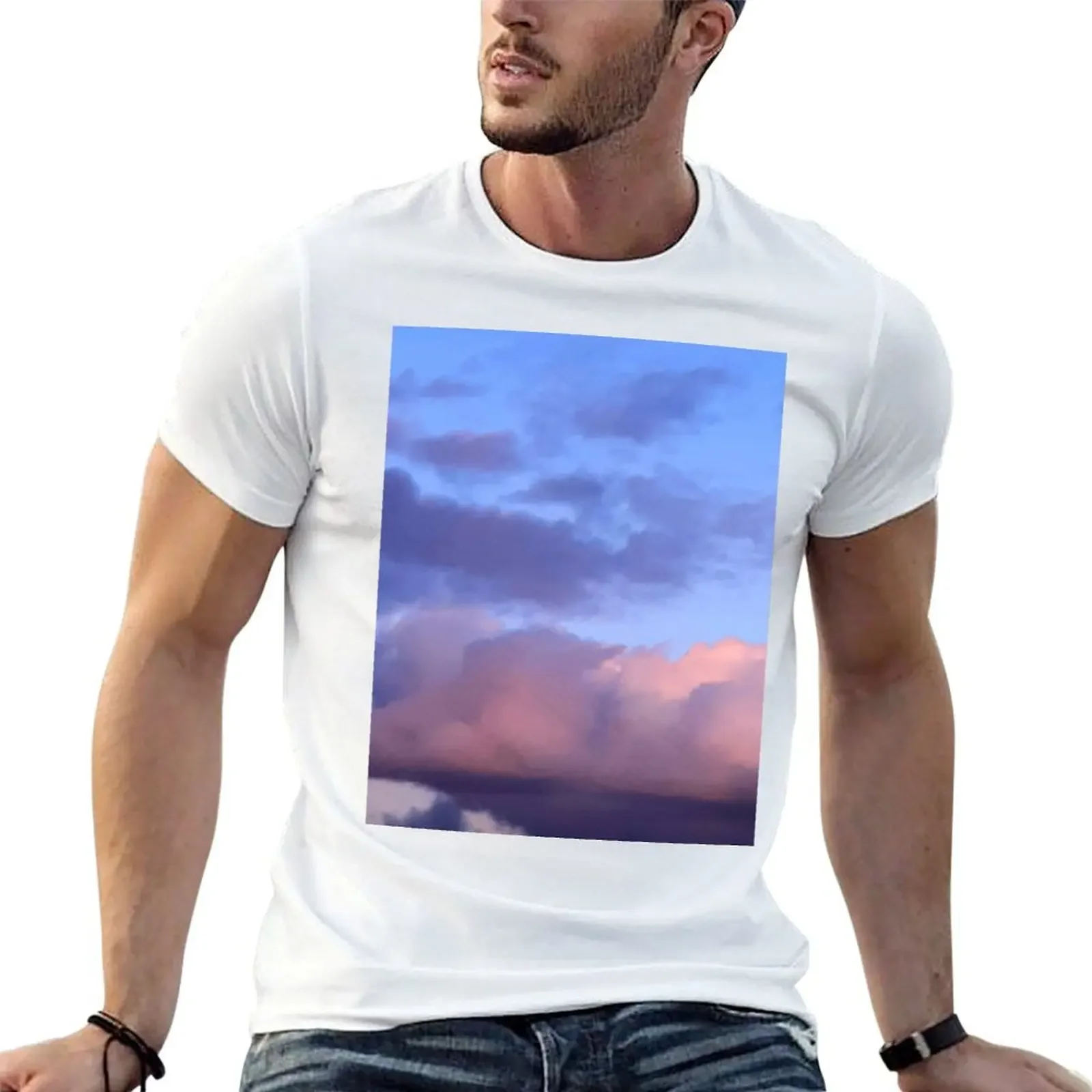 January Afternoon, Le Plessis Robinson T-Shirt vintage clothes aesthetic clothes quick-drying mens shirts graphic tee