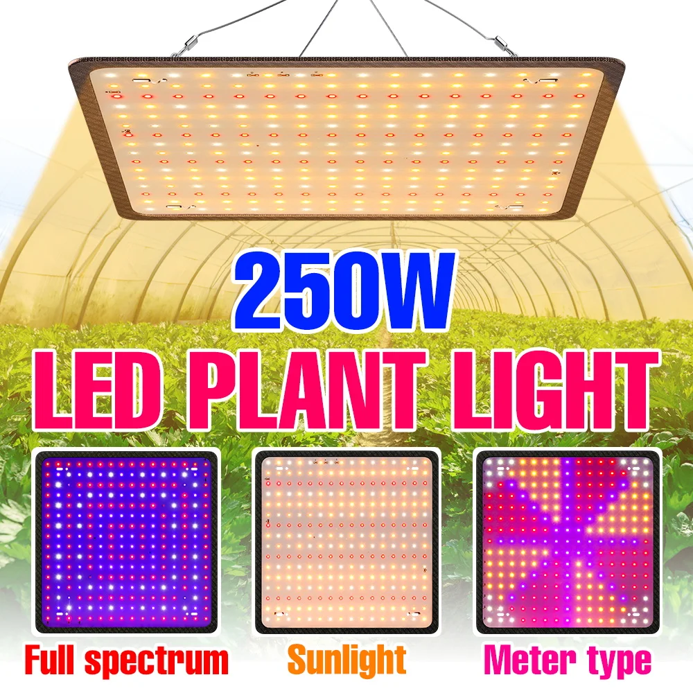 

250W Full Spectrum Plant Grow Light LED Quantum Board Seedling Cultivation Lamp Greenhouse Tent Hydroponic Flower Fill Lighting